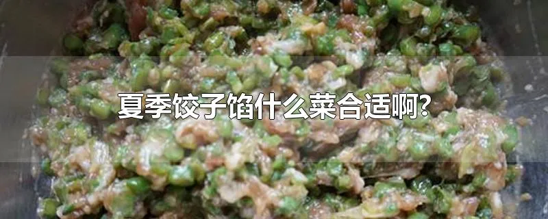 夏季饺子馅什么菜合适啊?