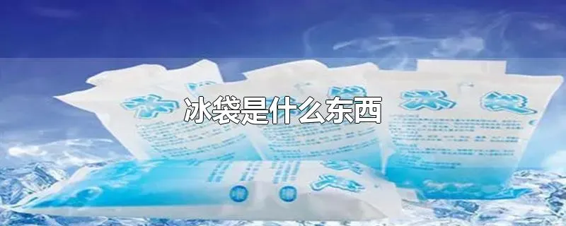 冰袋是什么东西