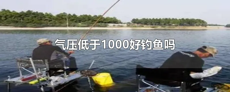 气压低于1000好钓鱼吗