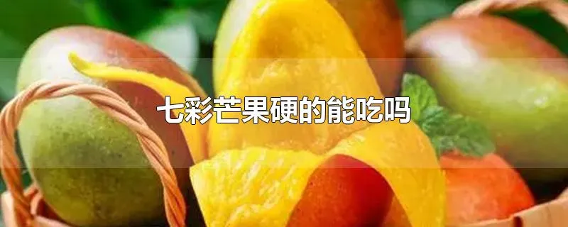 七彩芒果硬的能吃吗