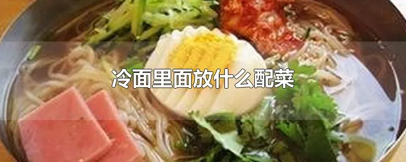 冷面里面放什么配菜