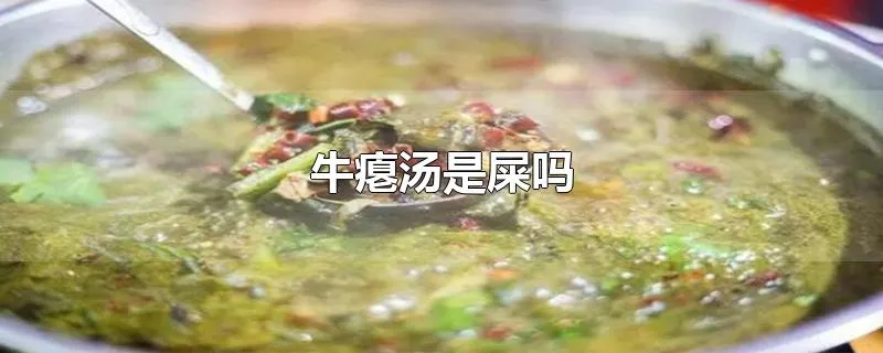 牛瘪汤是屎吗