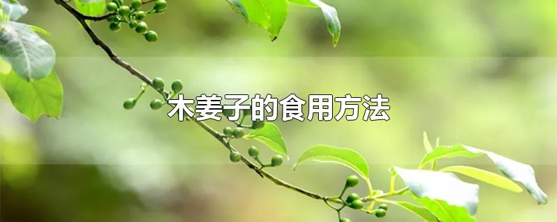 木姜子的食用方法