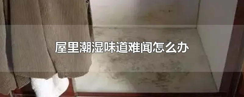 屋里潮湿味道难闻怎么办