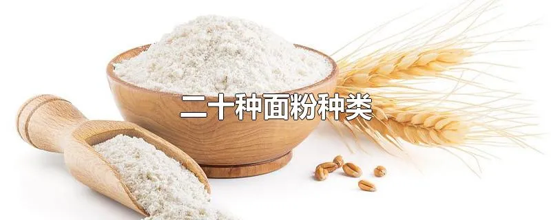 二十种面粉种类