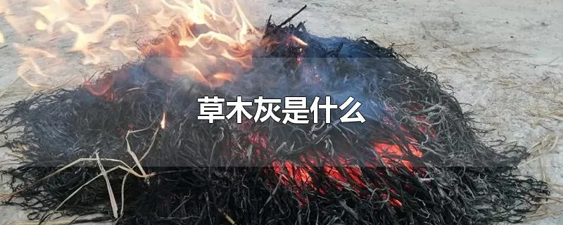 草木灰是什么