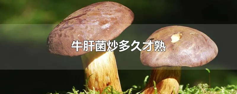 牛肝菌炒多久才熟