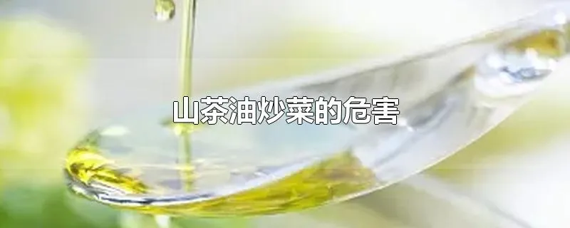 山茶油炒菜的危害