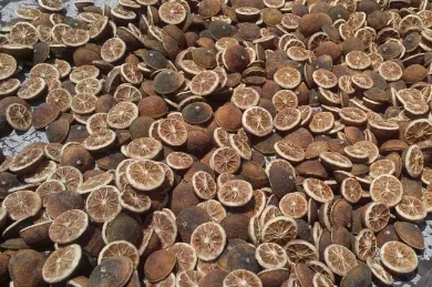 枳壳种植几年可以结果 枳壳怎么养殖_植物百科知识