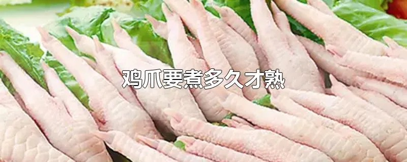 鸡爪要煮多久才熟