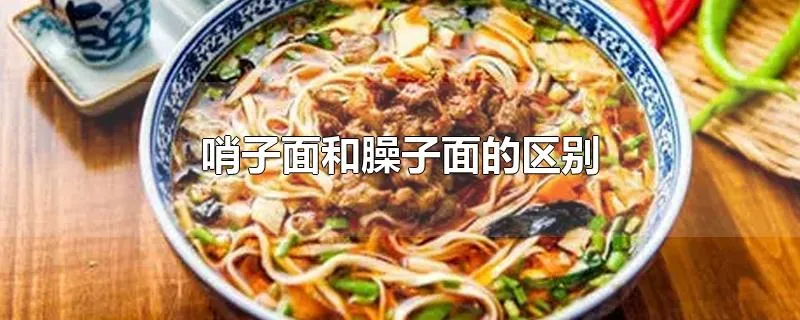 哨子面和臊子面的区别