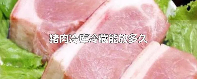 猪肉冷库冷藏能放多久