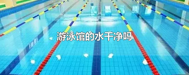 游泳馆的水干净吗