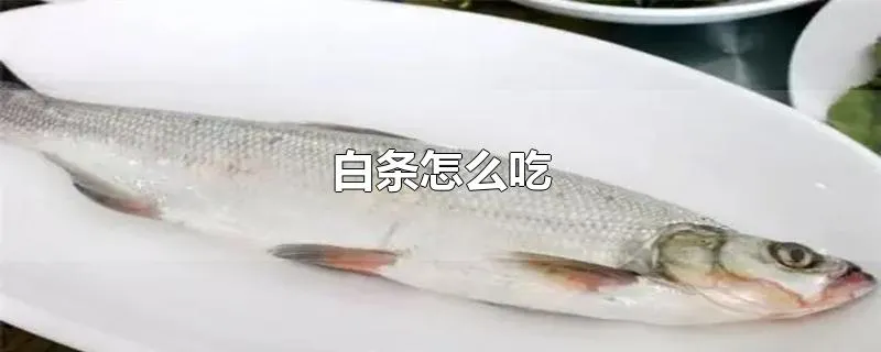 白条怎么吃