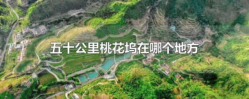 五十公里桃花坞在哪个地方