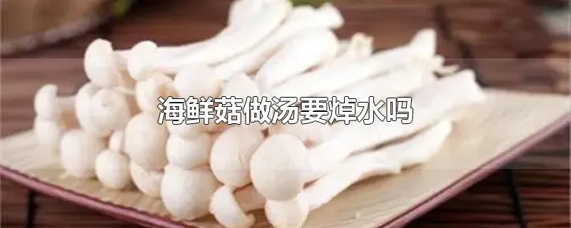 海鲜菇做汤要焯水吗