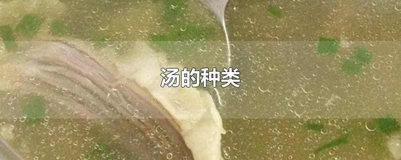 汤的种类