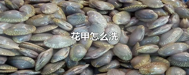 花甲怎么洗