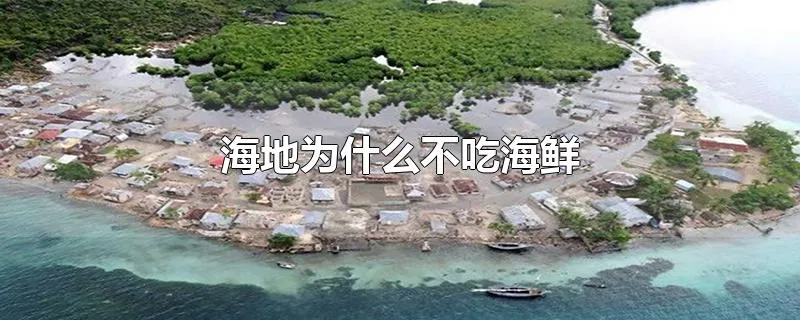 海地为什么不吃海鲜