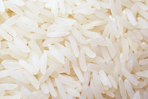 籼稻和粳稻哪个好吃 籼稻和粳稻的作用价值_植物百科知识