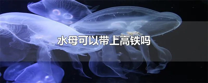 水母可以带上高铁吗