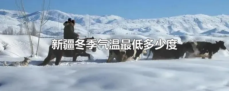 新疆冬季气温最低多少度