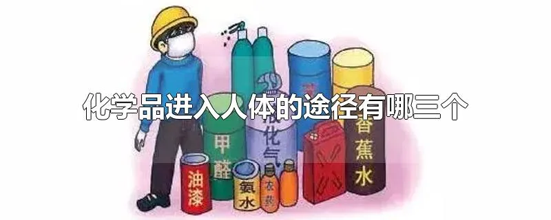 化学品进入人体的途径有哪三个