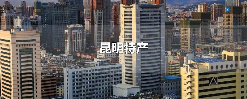 昆明特产