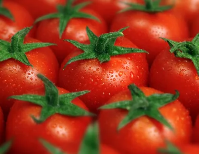 番茄需肥特点 番茄怎么施肥_植物百科知识
