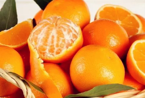 立冬过后采摘柑橘需要注意哪些要点 柑橘养殖简介_植物百科知识