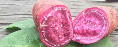 山芋不能和什么食物一起吃吗