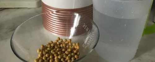 破壁机豆浆需要提前泡豆子吗