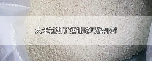 大米过期了还能吃吗没开封