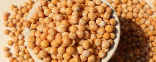 黄豌豆发芽了还能吃吗