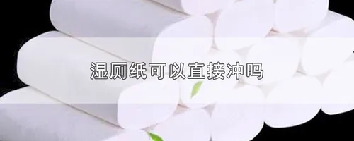 湿厕纸可以直接冲吗