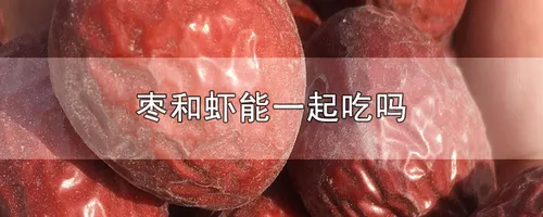 枣和虾能一起吃吗