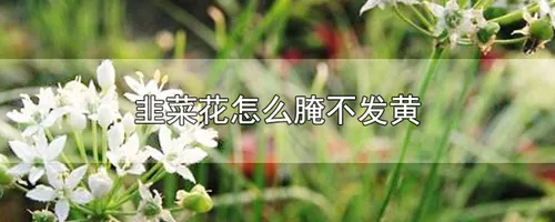 韭菜花怎么腌不发黄