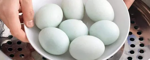 咸鸭蛋水洗后如何存放