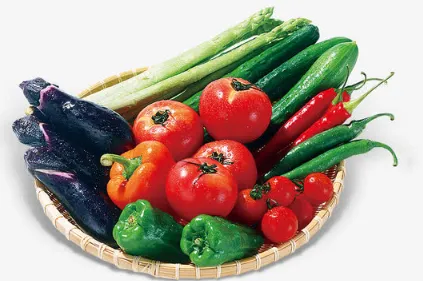 早春蔬菜定植前后管理要点 蔬菜种植是需要注意什么_植物百科知识