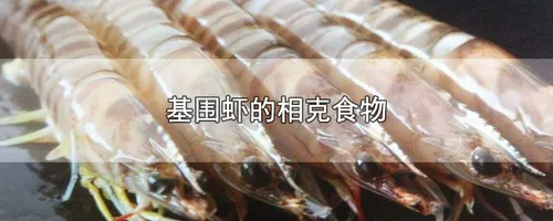 基围虾的相克食物