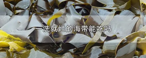 一洗就烂的海带能吃吗