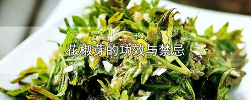 花椒芽的功效与禁忌