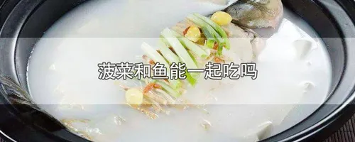 菠菜和鱼能一起吃吗