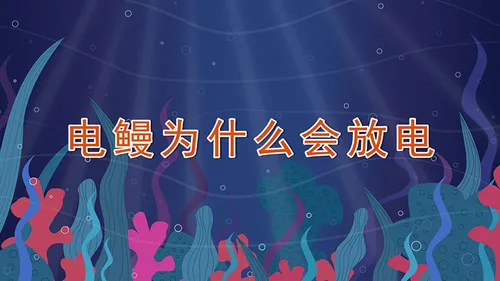 电鳗为什么会放电