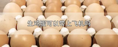 生鸡蛋可以带上飞机吗