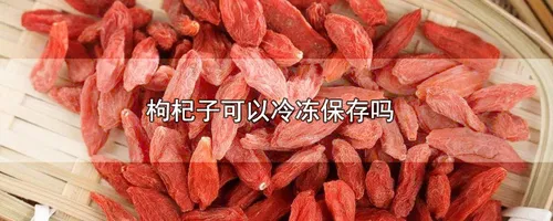 枸杞子可以冷冻保存吗