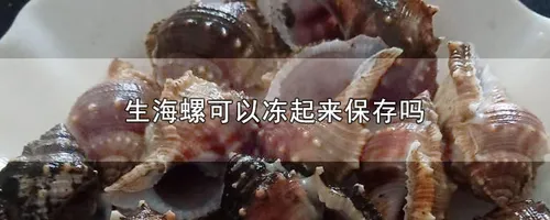 生海螺可以冻起来保存吗