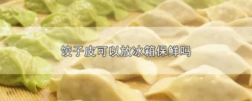 饺子皮可以放冰箱保鲜吗