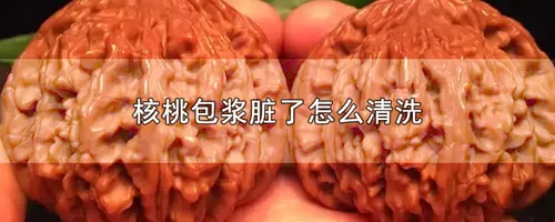 核桃包浆脏了怎么清洗