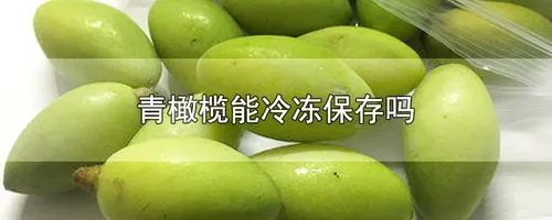 青橄榄能冷冻保存吗